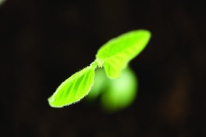 深度科普：市场消费与数字经济的协同